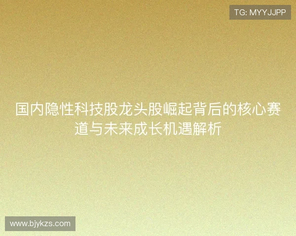 国内隐性科技股龙头股崛起背后的核心赛道与未来成长机遇解析